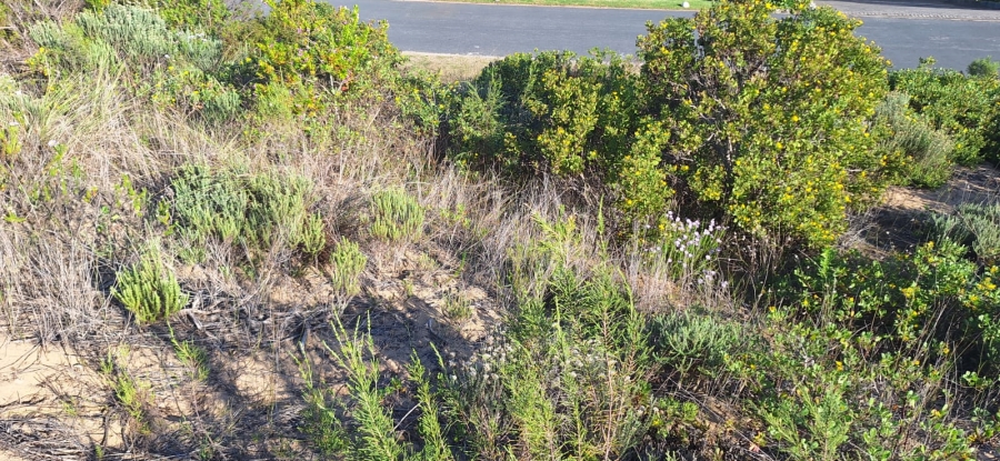 0 Bedroom Property for Sale in Hersham Western Cape